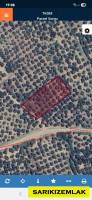 Havran Mescit Mah. 1500m2 Satılık Zeytinlik Hissesi Tapulu Pazarlıklı